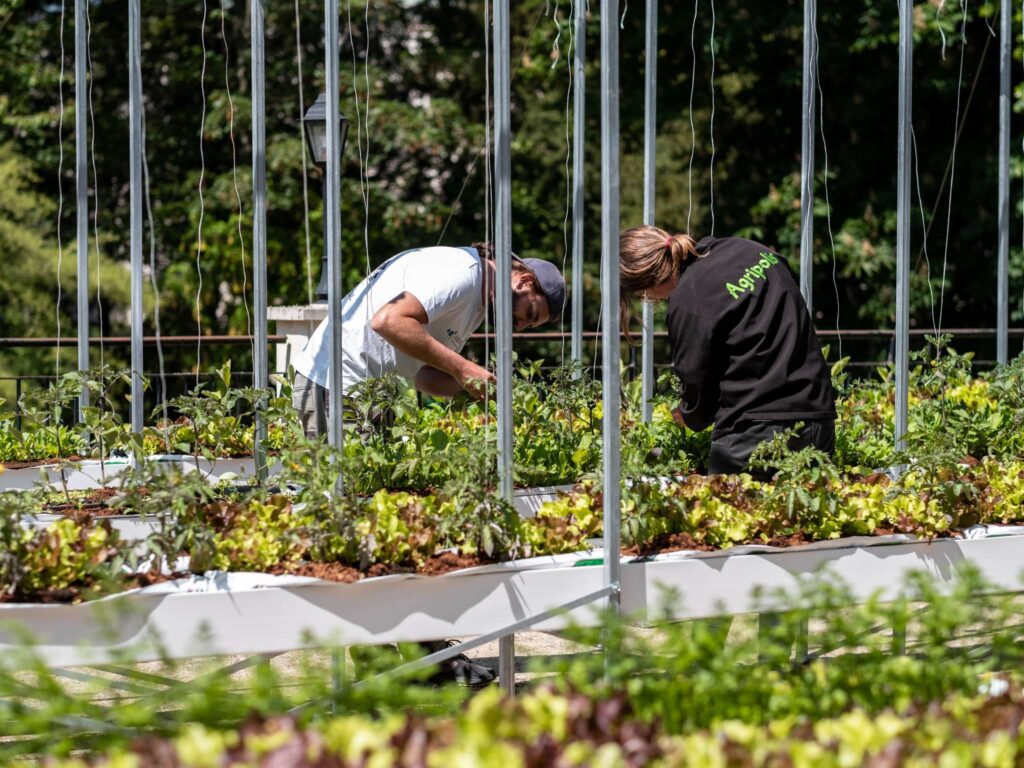 a072_ho_09_p_2048x1536